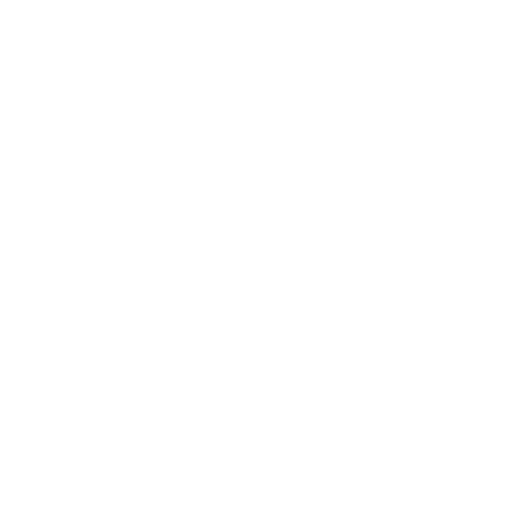 Customer Satisfaction